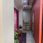 غذا خونگی مادر در بابل