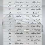 گروه خودرویی ده بزرگی در معالی آباد شیراز