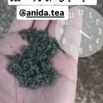 فروشگاه چای آنیدا در انارستان لاهیجان