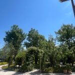 رستوران گیسو در اتوبان سراوان به فومن
