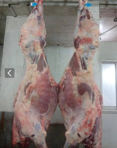 مشاهده هایپر گوشت مرتضی در گلسار رشت در سامانه بهبود مشاغل