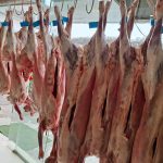 هایپر گوشت مرتضی در گلسار رشت