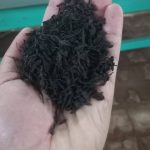 فروشگاه چای آنیدا در انارستان لاهیجان