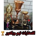 باشگاه کاراته ویکتور در قم