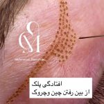 مرکز تخصصی فیشال مهرنوش بذرافکن در شیراز