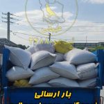 فروش لوازم و دانه پرنده ایران پرنده در جاده ساوه