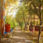 رستوران ماهی عباسی در جاده تبریز