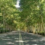 مشاور املاک مقدم در سهیلیه رامیجین چهارباغ