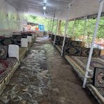 رستوران تک پسر در اخلمد مشهد