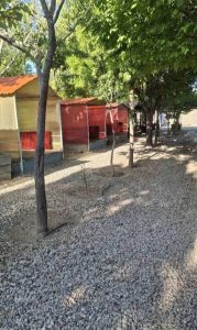 مشاهده سفره خانه بابا حاجی در باقرشهر در سامانه بهبود مشاغل