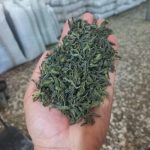 فروشگاه چای آنیدا در انارستان لاهیجان