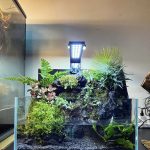 فروشگاه گل و گیاه هوم فلاور home flower در منطقه یک تهران