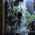 فروشگاه گل و گیاه هوم فلاور home flower در منطقه یک تهران