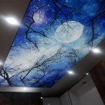 اجرای تخصصی سقف کشسان کوروش در شیراز