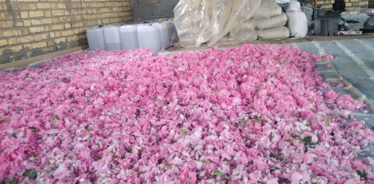 مشاهده آگهی دفتر فنی مهندسی آراد در بیجار در سامانه بهبود مشاغل