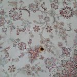 مبل شویی دنی در بابلسر