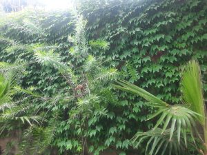 مشاهده کافه رستوران لوما Luma در جویبار در سامانه بهبود مشاغل