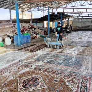 مشاهده آگهی قالیشویی تک در کرج در سامانه بهبود مشاغل