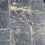 کفسابی و سنگسابی ثنایی در صادقیه تهران