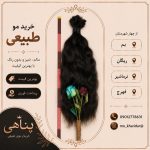 خرید و فروش موی طبیعی پناهی در بم