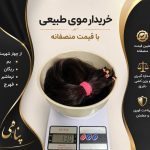 خرید و فروش موی طبیعی پناهی در بم