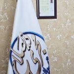 مجری ذیصلاح تهران مطهریان در تهران