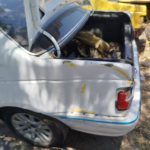بازسازی و تعویض اتاق خودرو صادقی در شیراز