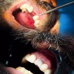 مطب دندانپزشکی دکتر علی علوی در بندرعباس