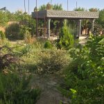 پیمانکاری ساختمان قاسمی در سیرجان