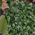 دکوراسیون داخلی شکورزاده در ارومیه
