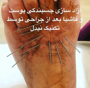 مشاهده کلینیک فیزیوتراپی دکتر هوشنگ امامی مهتاج در فرمانیه تهران در سامانه بهبود مشاغل