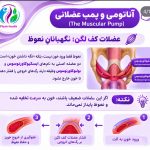 کلینیک فیزیوتراپی دکتر هوشنگ امامی مهتاج در فرمانیه تهران